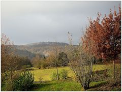 Der Peterskopf im Herbst