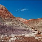 Der Petrified-Forest-Nationalpark...