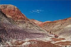 Der Petrified-Forest-Nationalpark...