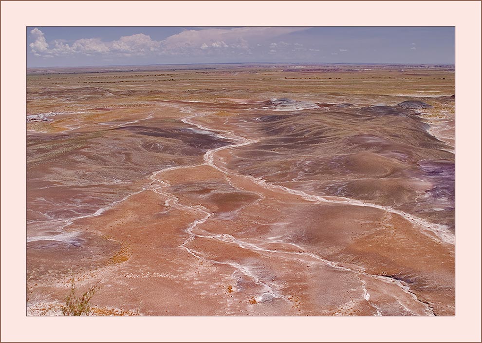 Der Petrified Forest und seine Farben