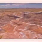 Der Petrified Forest und seine Farben