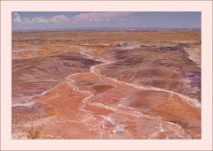 Der Petrified Forest und seine Farben