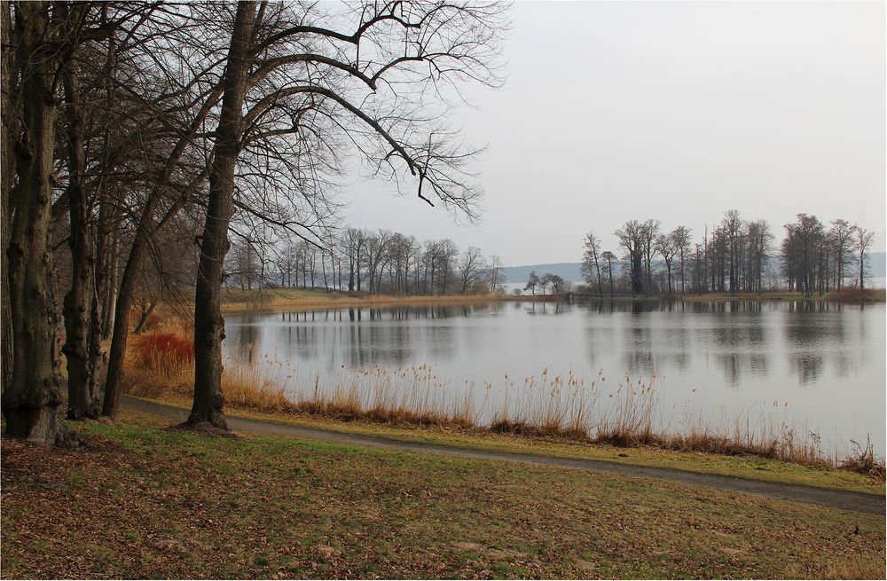 Der Petzower Haussee