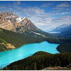 Der Peyto Lake...