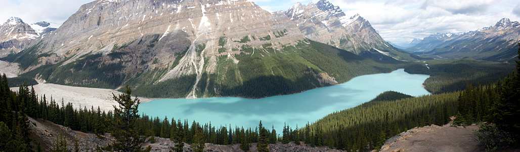 Der Peyto Lake