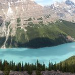 Der Peyto Lake