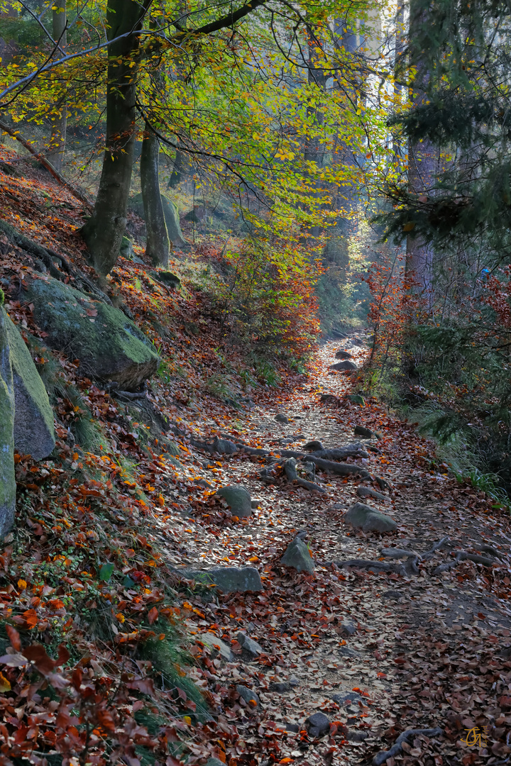 Der Pfad - der Herbst von seiner schönen Seite