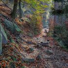 Der Pfad - der Herbst von seiner schönen Seite