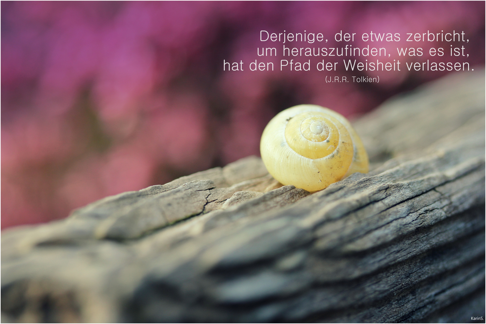 der Pfad der Weisheit