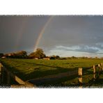 # DER PFAD DES REGENBOGENS #