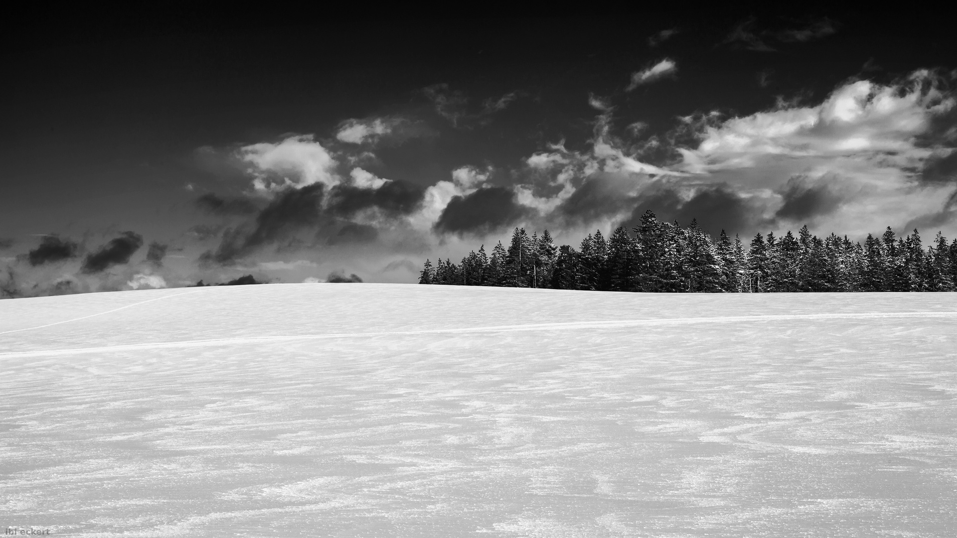 Der Pfad im Schnee