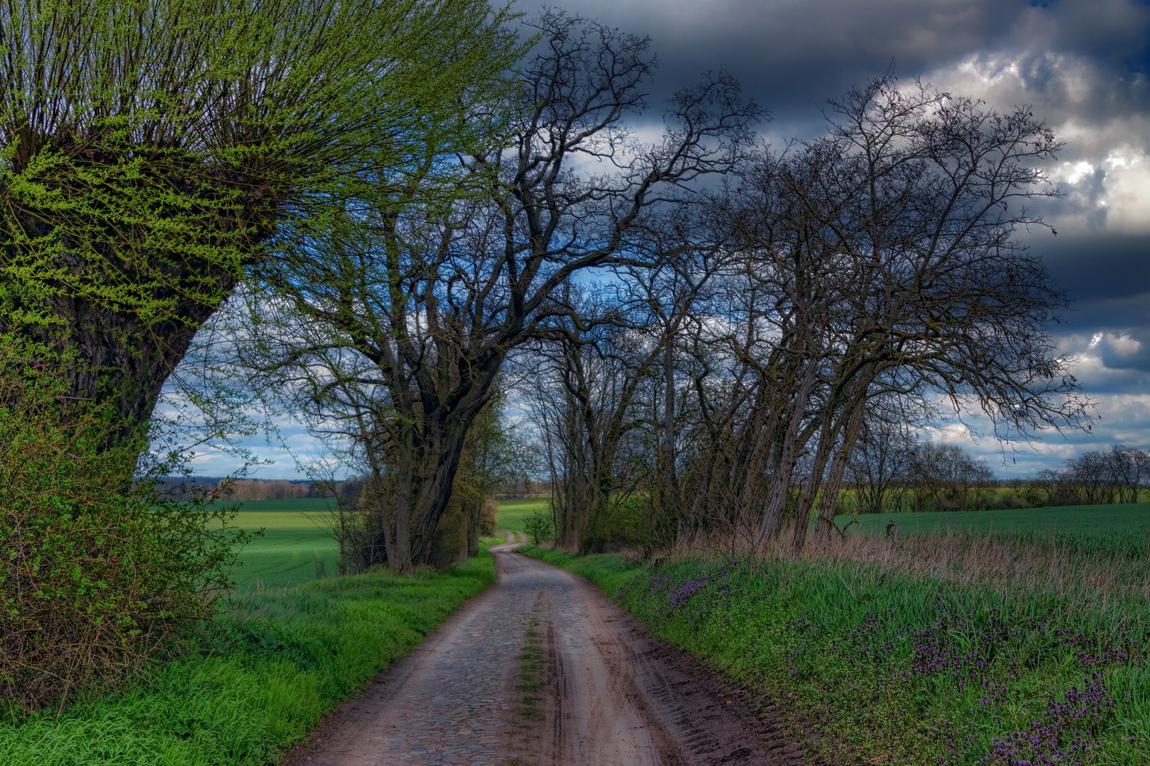 Der Pfad in den Frühling