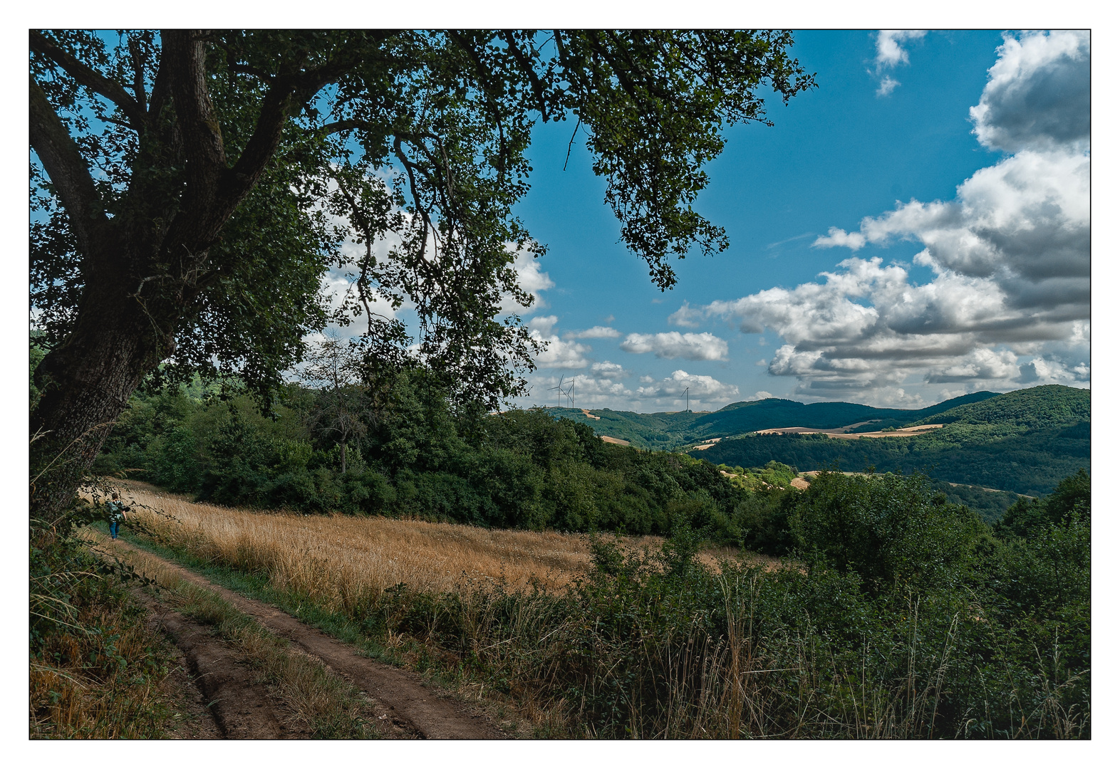 Der Pfälzer Höhenweg