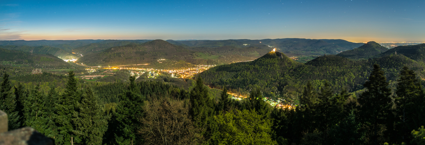 Der Pfälzer Wald im Vollmondlicht