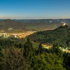 Der Pfälzer Wald im Vollmondlicht