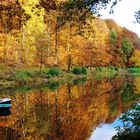 Der Pfälzer Wald zeigt sein Herbstkleid