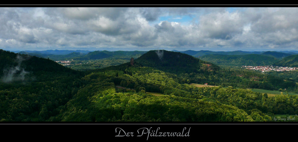 Der Pfälzerwald