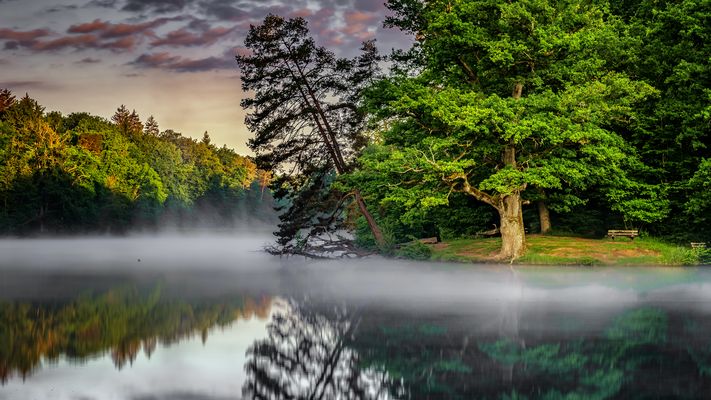 Der Pfaffensee im Morgenlicht