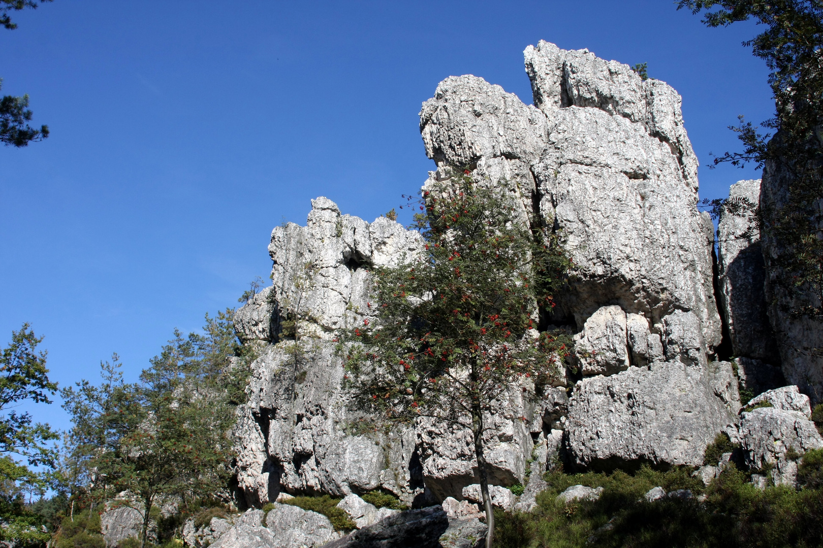 Der Pfahl, ein Naturbiotop aus Quarzgestein