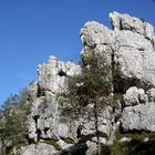 Der Pfahl, ein Naturbiotop aus Quarzgestein