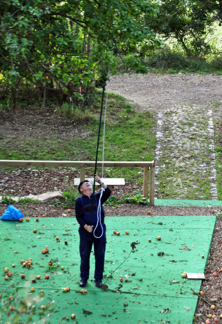 Der Pflücker Foto & Bild erwachsene, menschen bei der arbeit