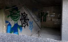 Der Phasensprung in der Entwicklung der Troglodyten