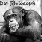 Der Philosoph