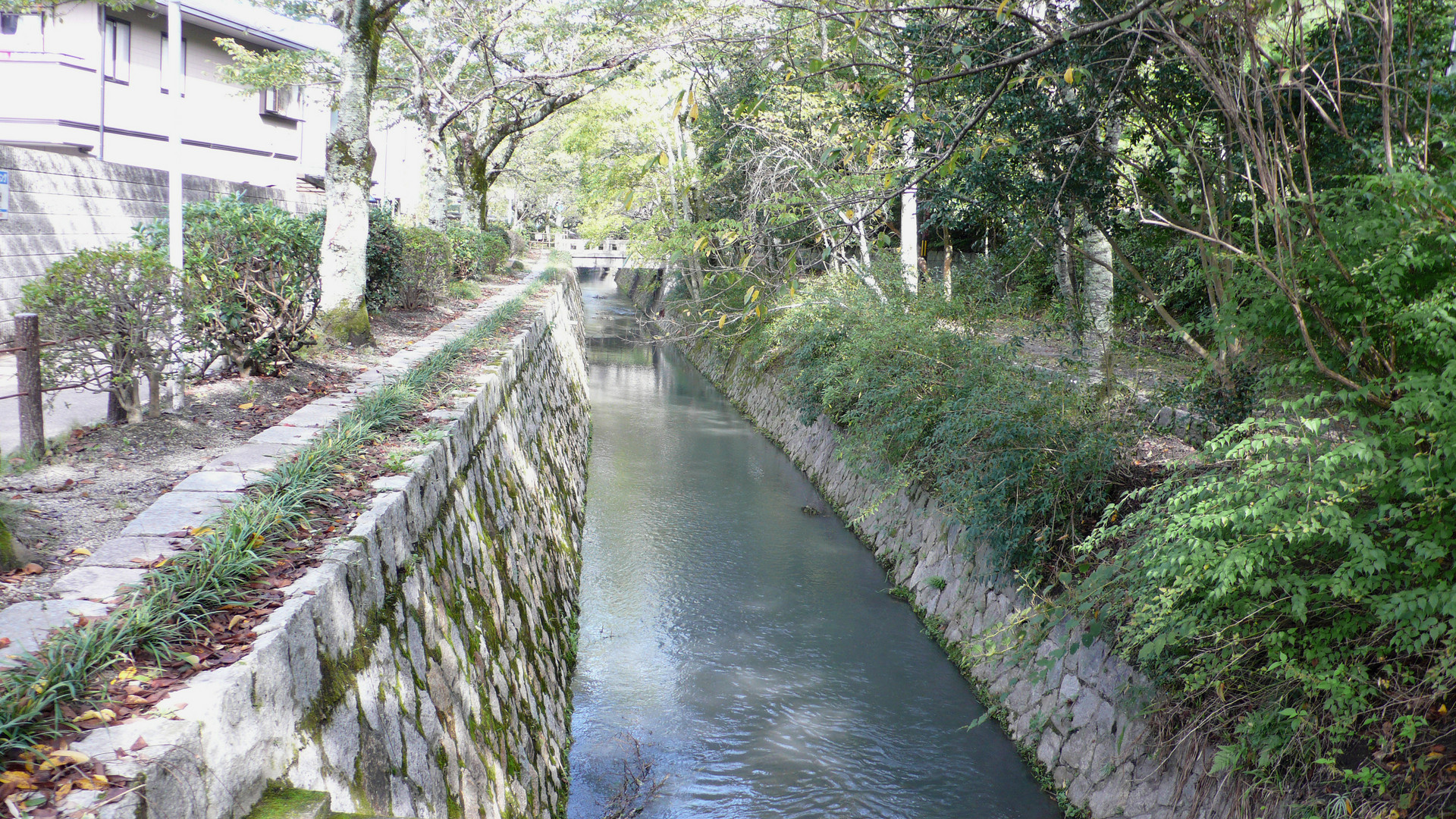 Der Philosphenweg in Kyoto