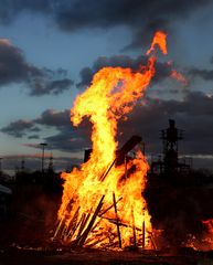 der Phönix aus der Asche