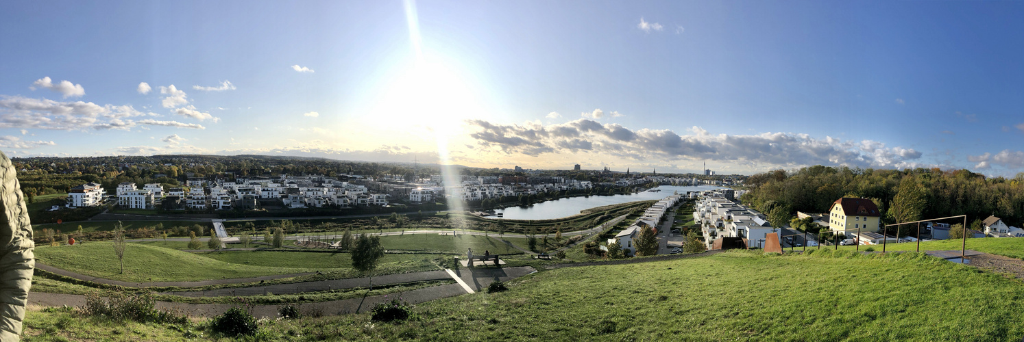 Der Phönix im Wandel der Zeit