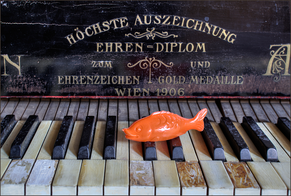 Der Pianist...