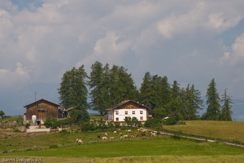 Der Pigleiderhof