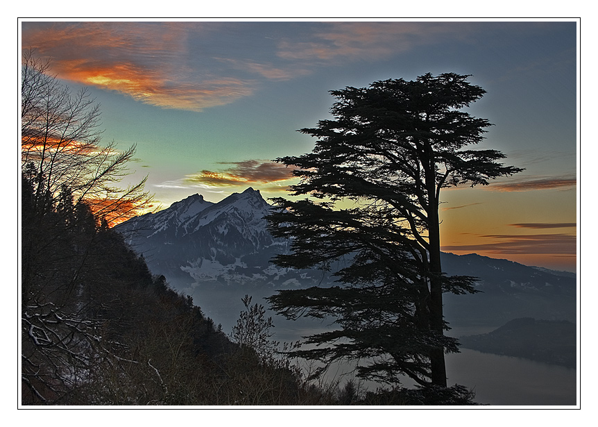 Der Pilatus, der Baum, der Vierwaldstätter See