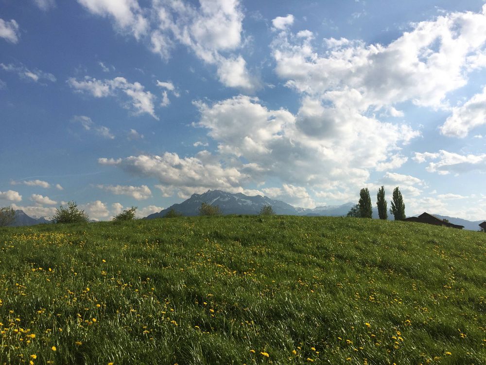 Der Pilatus hinter dem Neuadliger Hügel ...