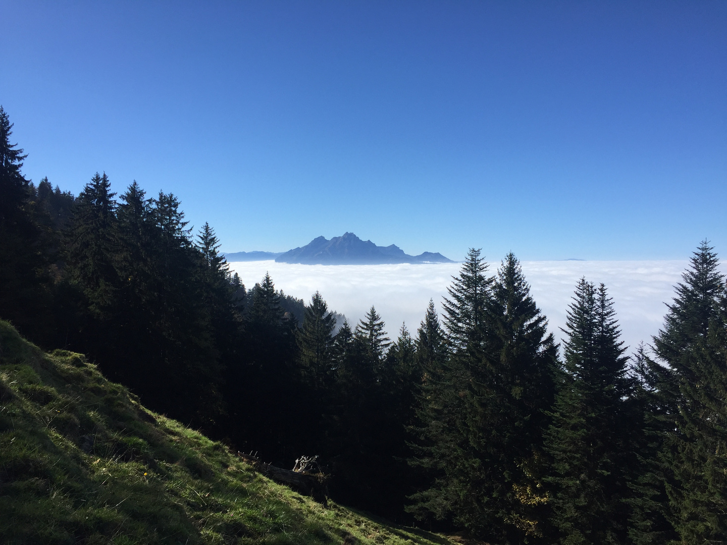 Der Pilatus über dem Nebelmeer ...