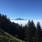 Der Pilatus über dem Nebelmeer ...