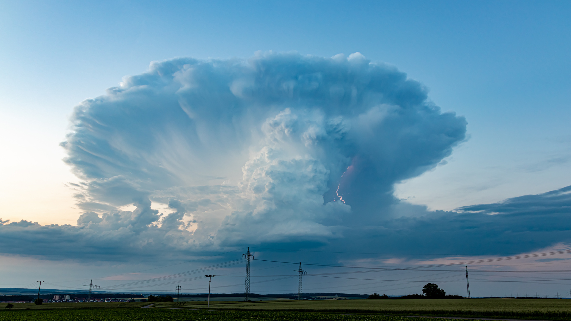 Der Pilz am Himmel