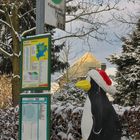 Der Pinguin