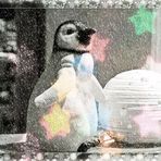 der Pinguin