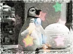 der Pinguin