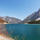 Der Plansee im Frühling