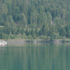 Der Plansee in Tirol