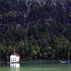 Der Plansee (Tirol)