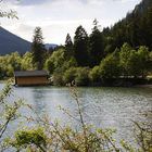 Der Plansee (Tirol) Nordseite