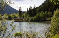 Der Plansee (Tirol) Nordseite