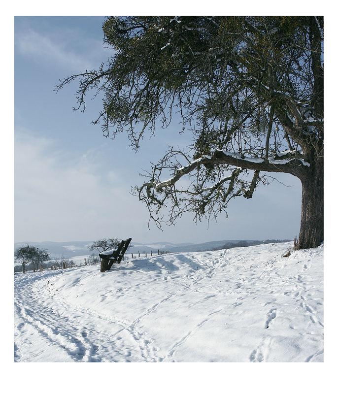 Der Platz am alten Baum