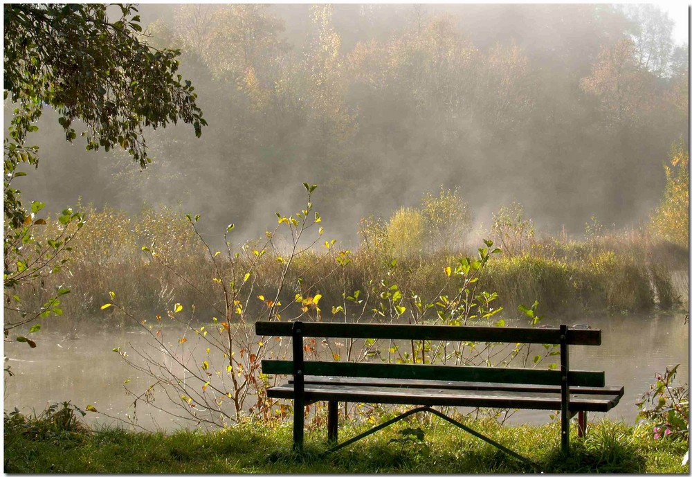 Der Platz am Teich