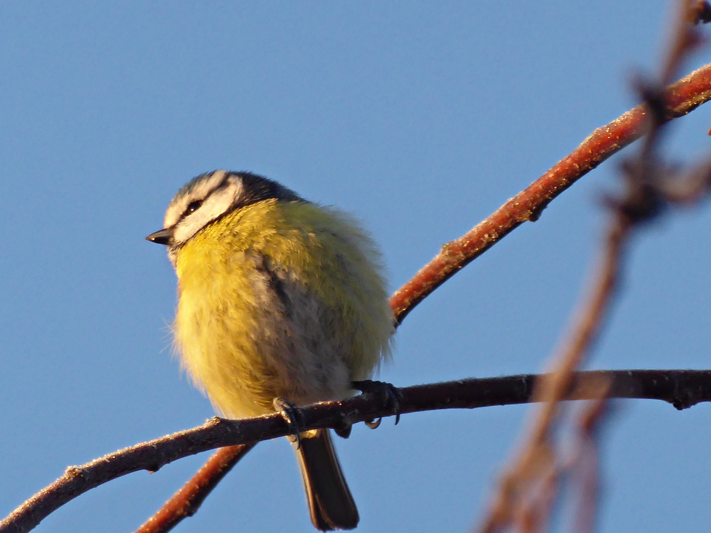 Der Platz an der Sonne