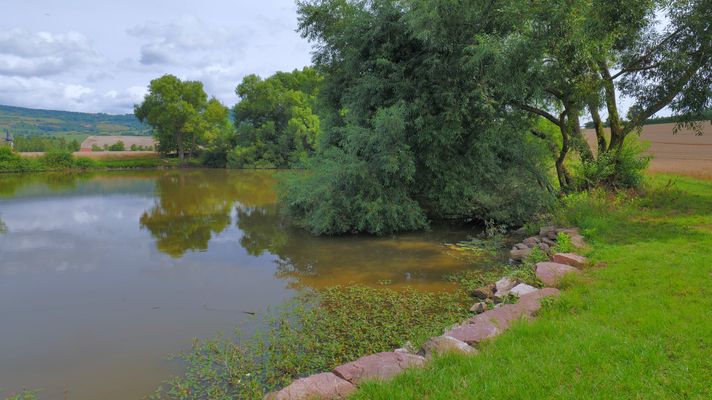 der Platz des einsamen Gänsekindes ist jetzt leer