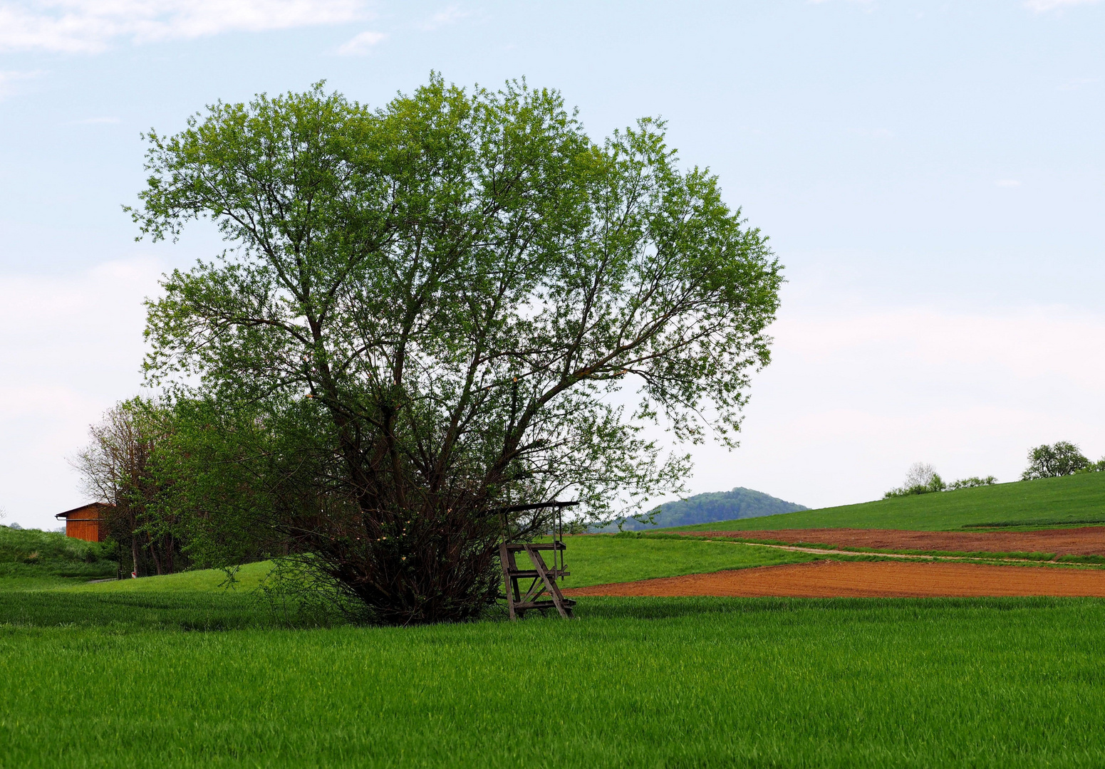 Der Platz des Waidmanns